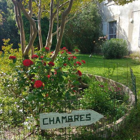 Le Mas D'Icard Saintes-Maries-de-la-Mer Exteriér fotografie
