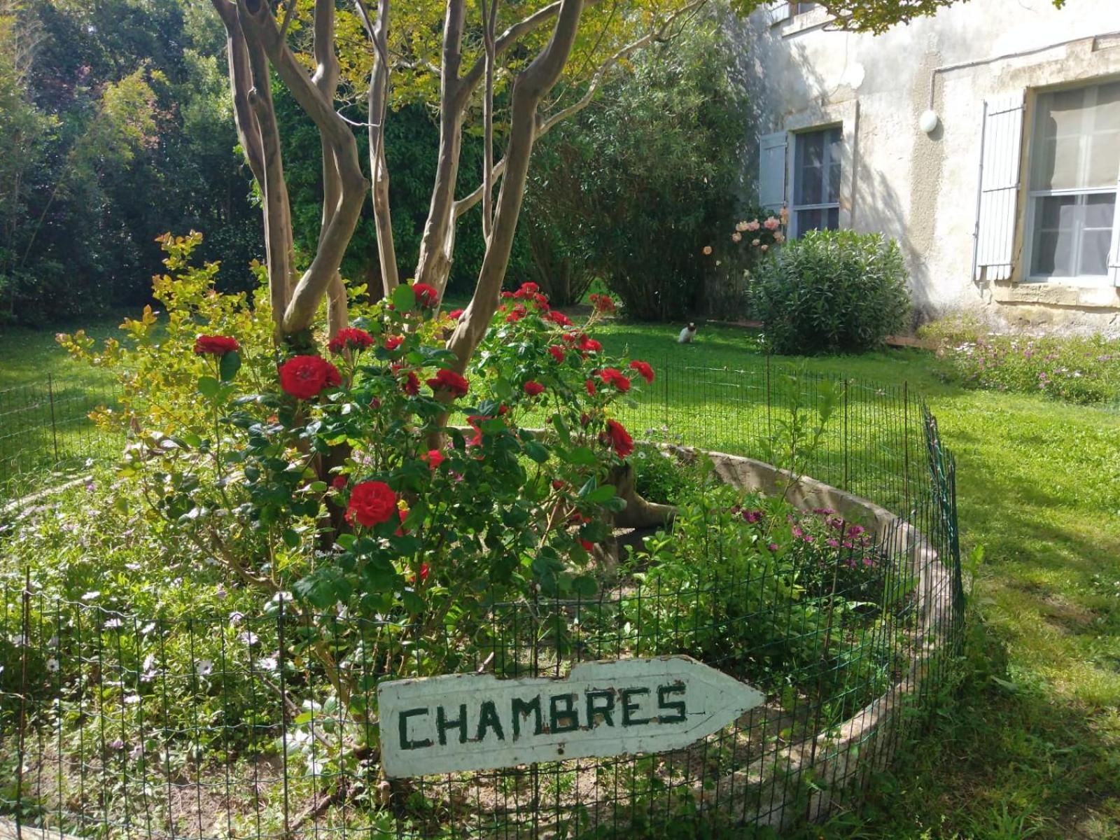 Le Mas D'Icard Saintes-Maries-de-la-Mer Exteriér fotografie